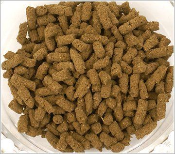 コスパのいいドッグフードの人気おすすめランキング選 ホームセンターで買える安い市販商品も セレクト Gooランキング