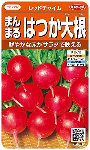 家庭菜園初心者に 育てやすい野菜の人気おすすめランキング選 プランター ベランダで野菜を育てよう セレクト Gooランキング