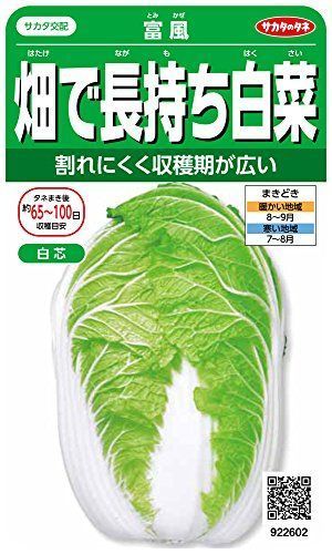 家庭菜園初心者に 育てやすい野菜の人気おすすめランキング選 プランター ベランダで野菜を育てよう セレクト Gooランキング