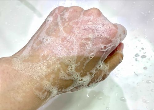 記事番号:21991/アイテムID:7889844の画像