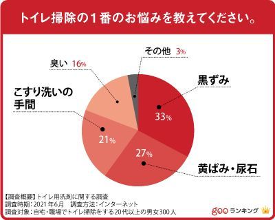 300人に聞いた トイレ用洗剤の人気おすすめランキング選 強力なものも セレクト Gooランキング